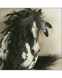 freedomforallhorsecrossstitch