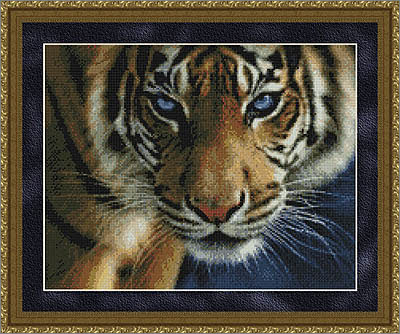 blue-eyes-tiger-cross-stitch